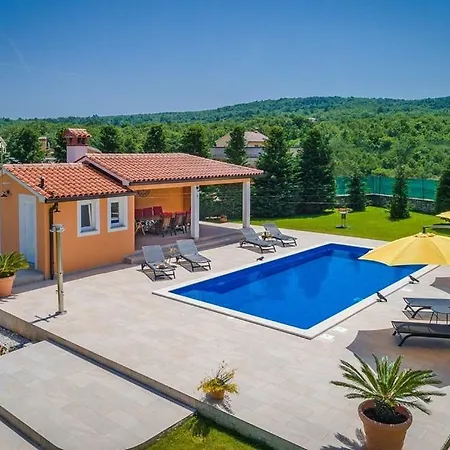 Lory Blue Labin (Istria)