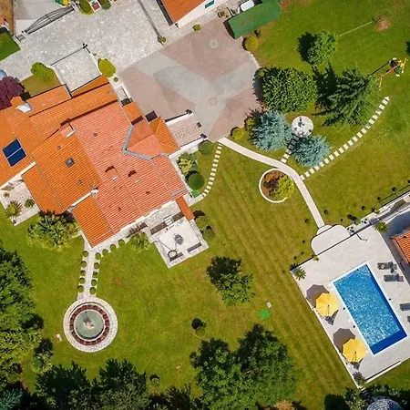 Lory Blue * Labin (Istria)